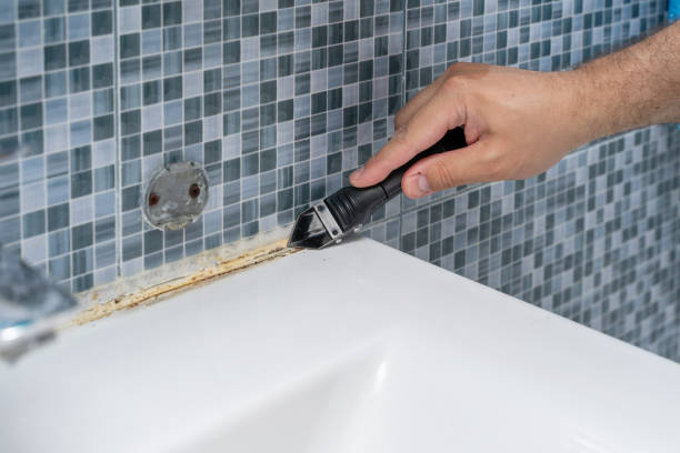 Best Fast Mold Removal  in Belmont, PA