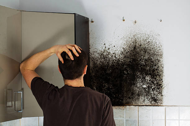 Best Crawl Space Mold Removal  in Belmont, PA